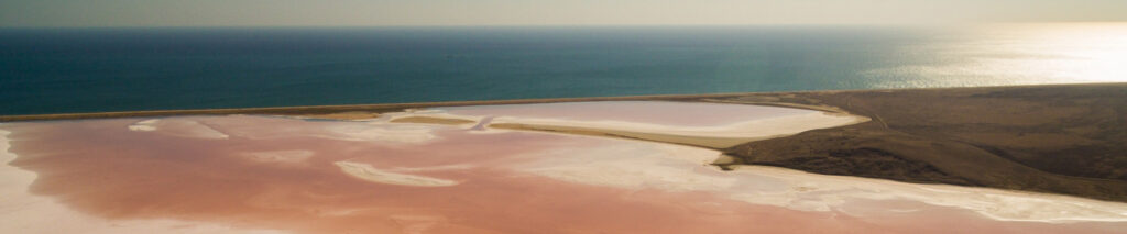 Roze zoutvlakte aan een donkerblauwe zee in zonlicht